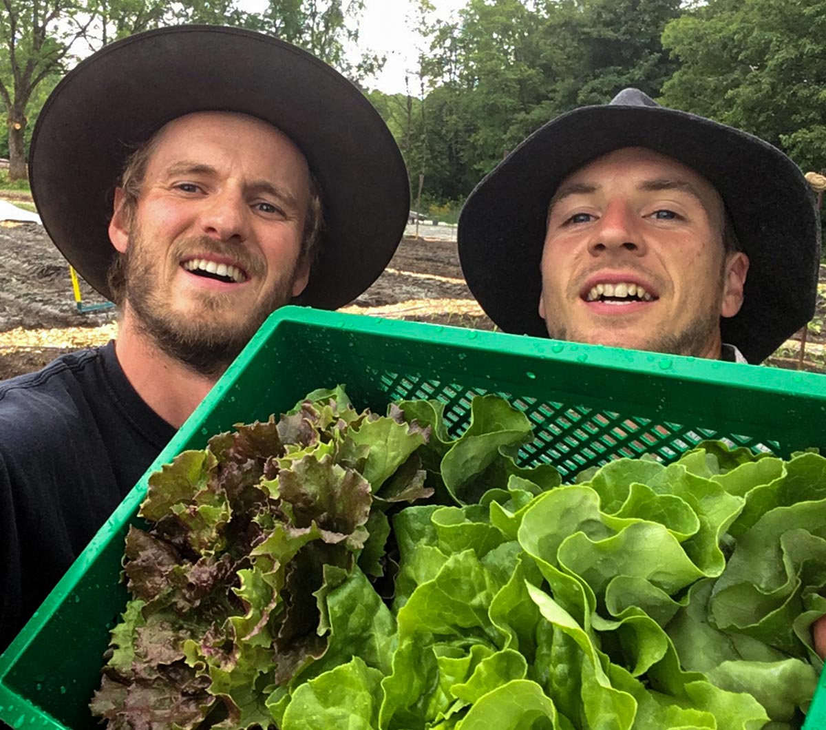 Die Gründer demonstrieren stolz ihre Gemüsekiste mit frischem Salat