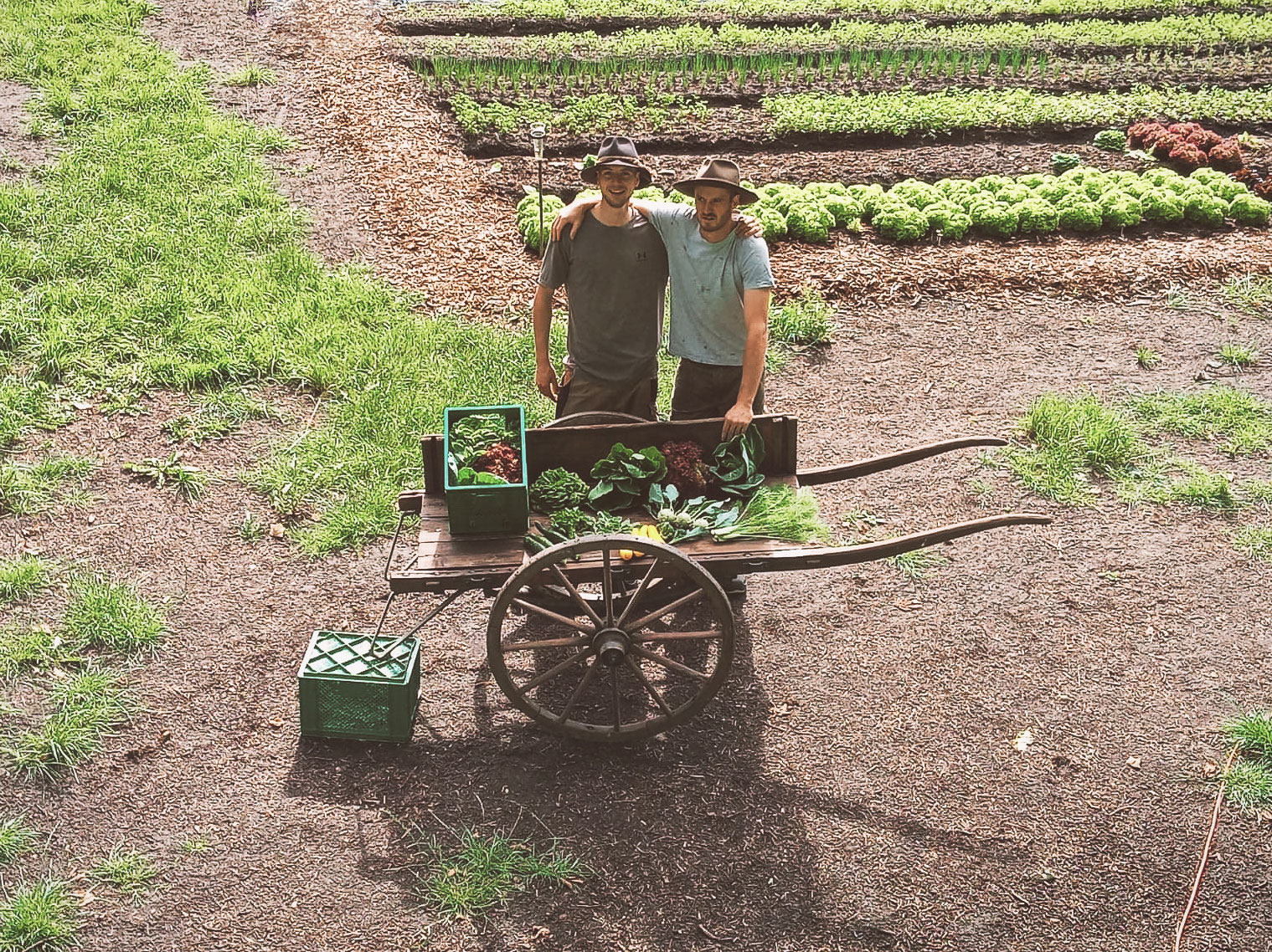 Die beiden Gründer der Humuswerkstatt (Marius Frey und Lukas Worth) präsentieren stolz auf ihrem Gemüsebetrieb ihre Biokiste auf einem alten Karren